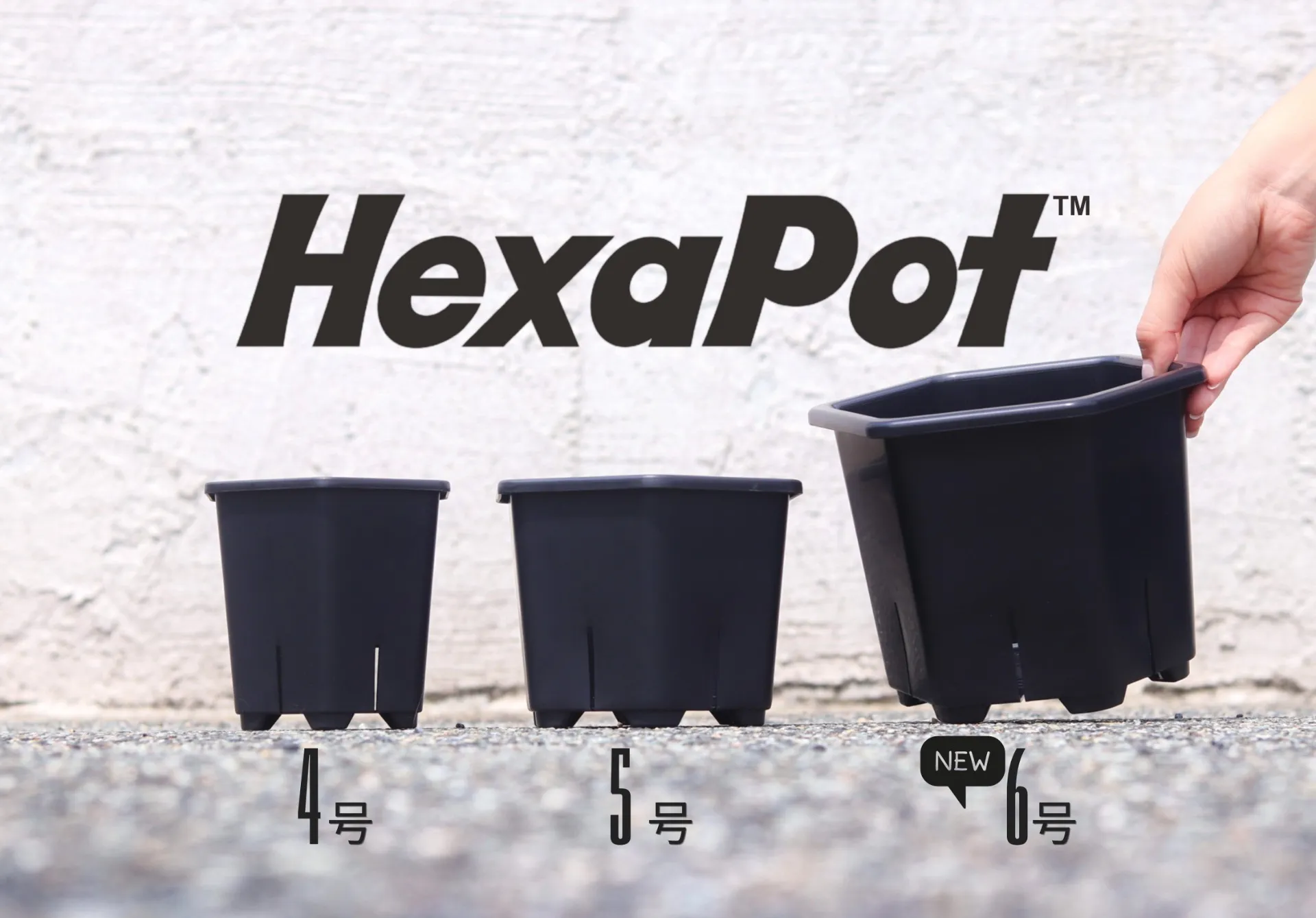 HexaPot™︎ 6号鉢　新サイズ展開へ