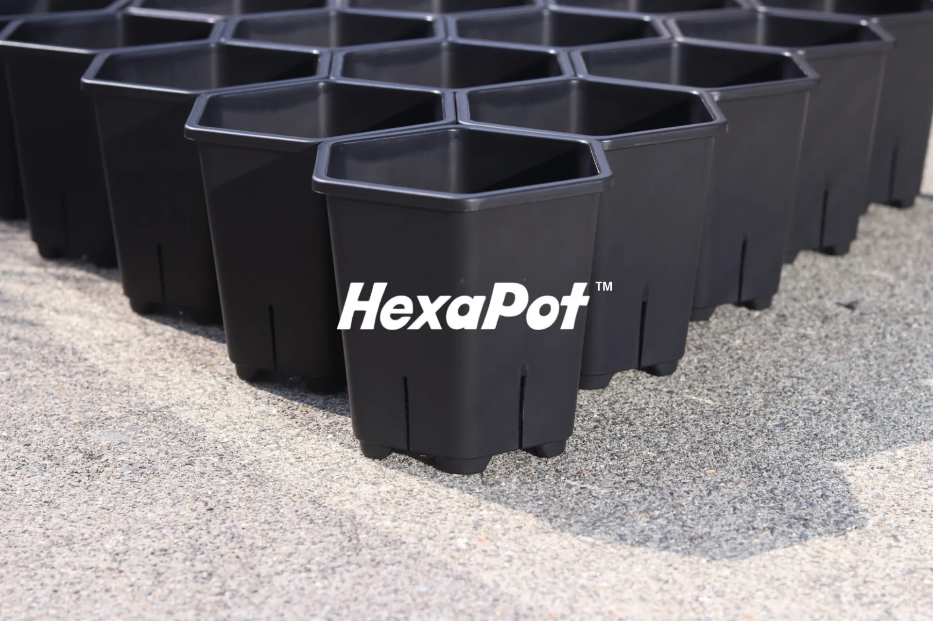 デッドスペースZERO革命　HexaPot™（ヘキサポット）