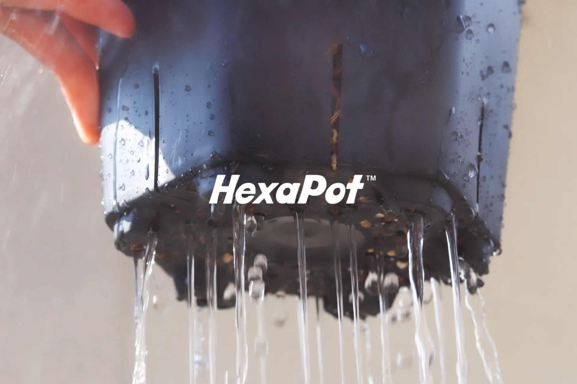 合同会社Hexa pot japan