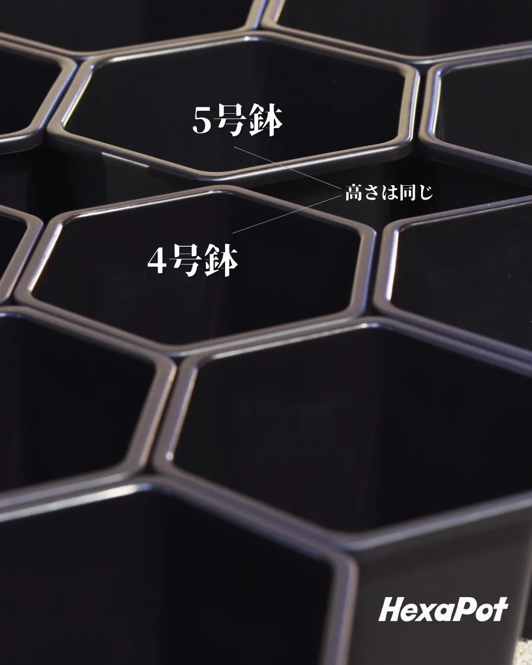 4号、5号高さを揃える神フラット