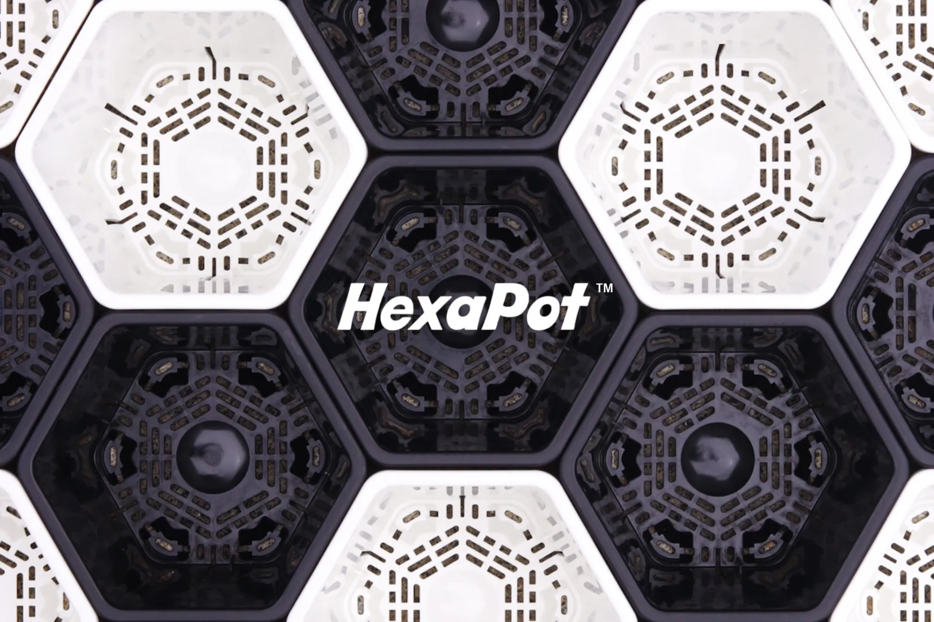 合同会社Hexa pot japan
