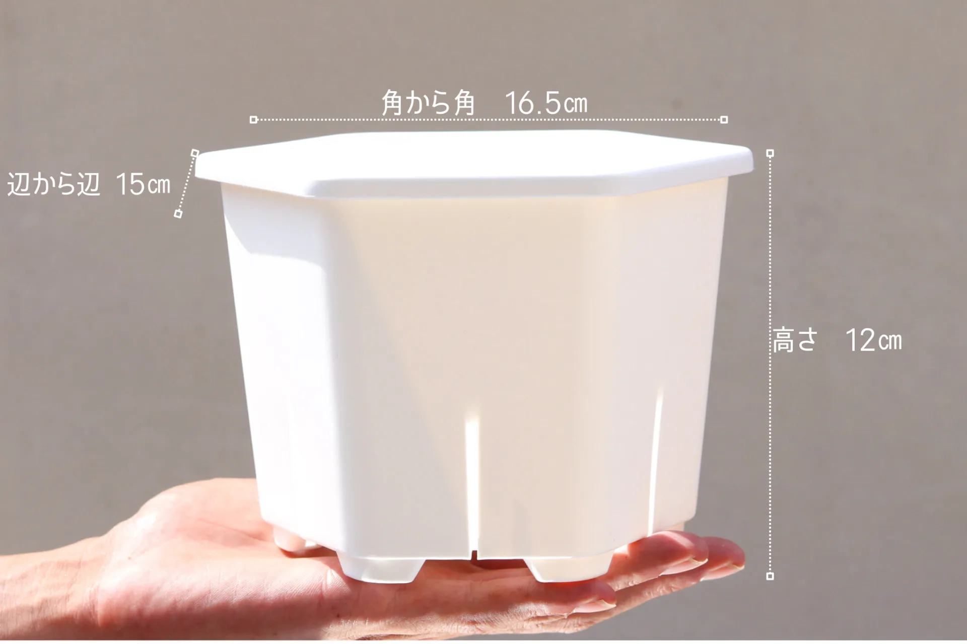 5号鉢　HexaPot　白