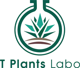 t_plants_labo