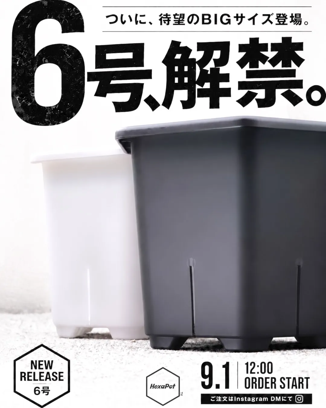 HexaPot™ ヘキサポット 新6号鉢、ついに受注開始。